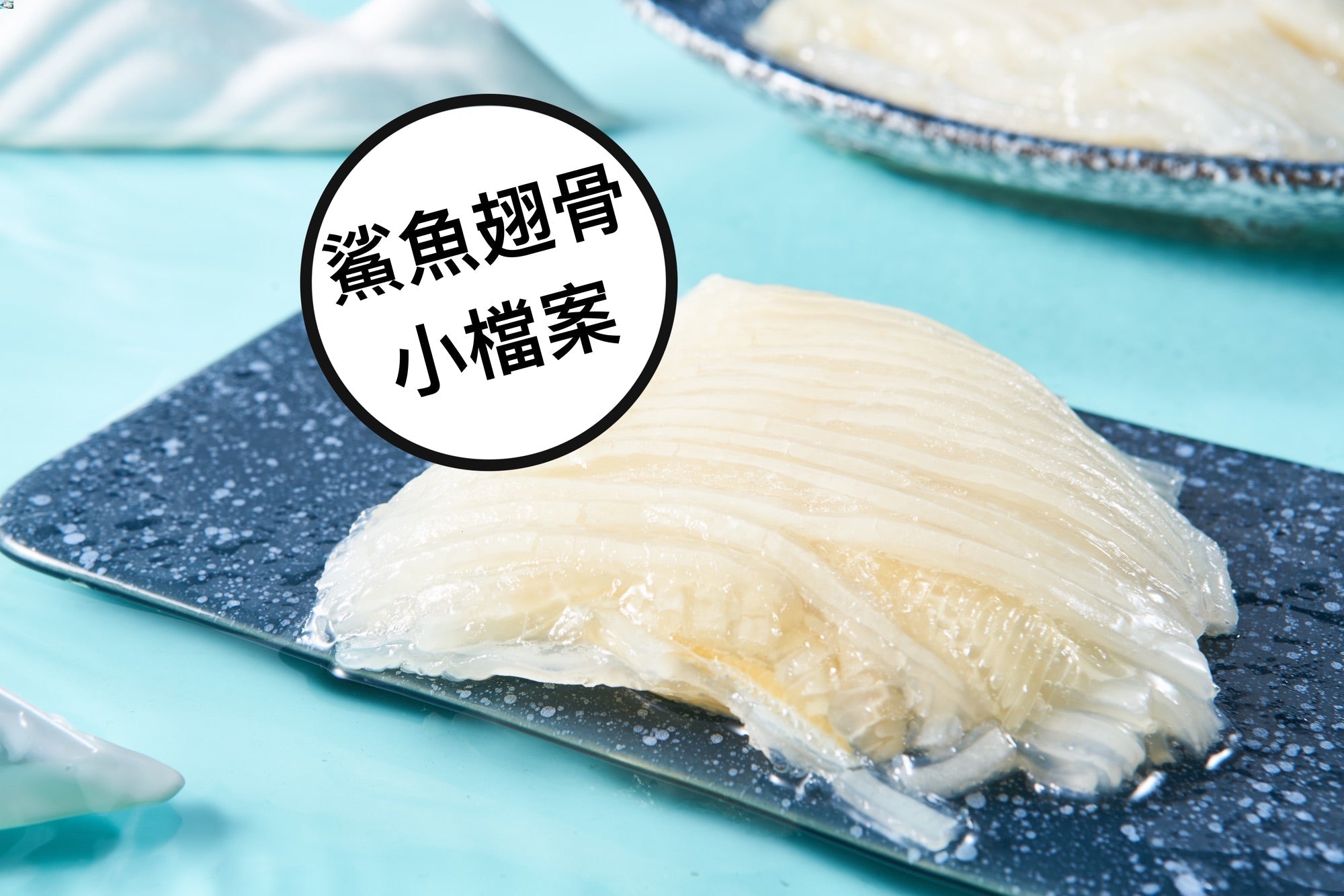 鯊魚翅骨小檔案 - On Hing Dry Seafood