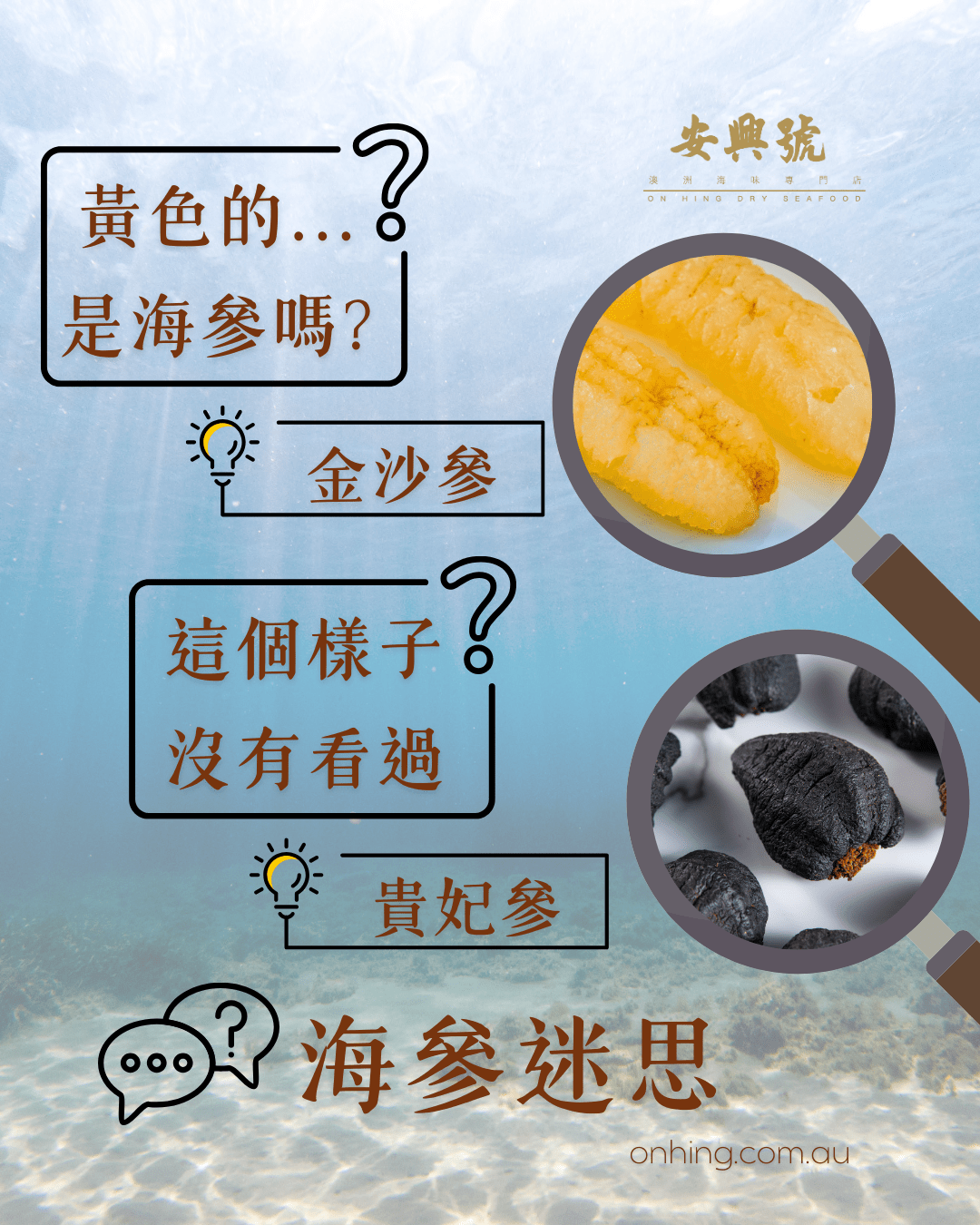 只有黑色和修長形狀的海參才稱為上等海參嗎? - On Hing Dry Seafood