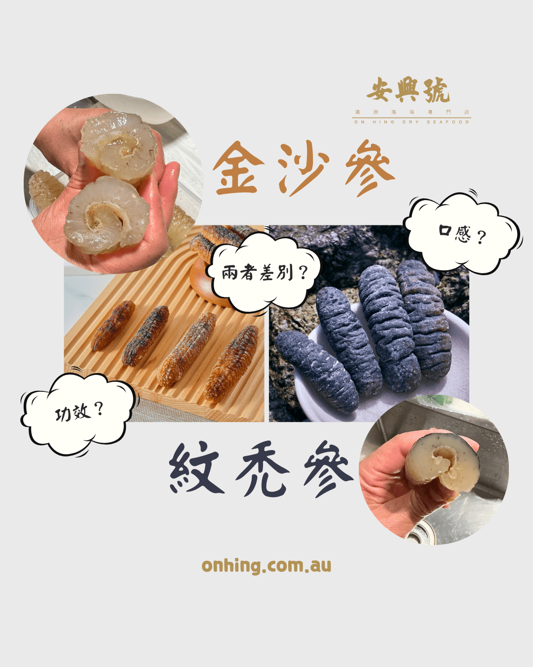 英文都是Sandfish，到底如何分辨紋禿參和金沙參？ – On Hing Dry Seafood