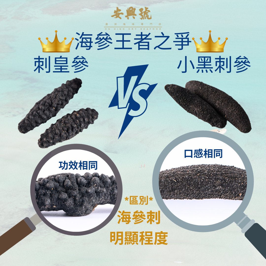 安興號 海參王者之爭 – 刺皇參 VS 小黑刺參 - On Hing Dry Seafood