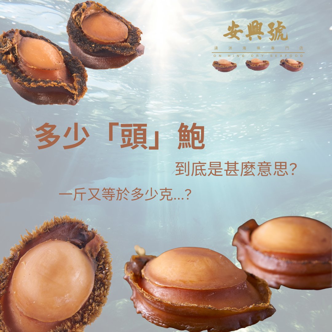 鮑魚小百科（1） - On Hing Dry Seafood
