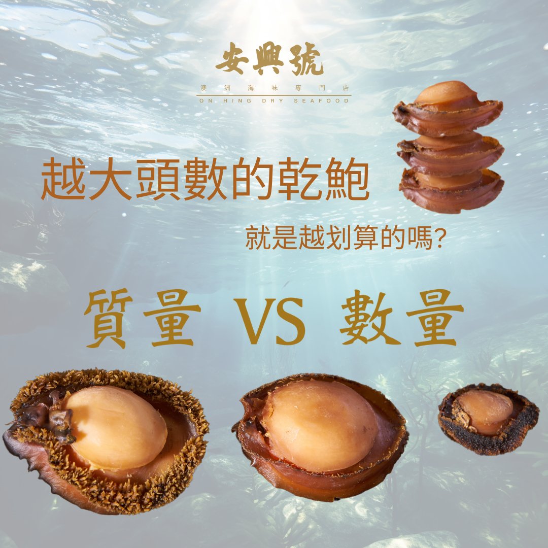 鮑魚小百科（2） - On Hing Dry Seafood
