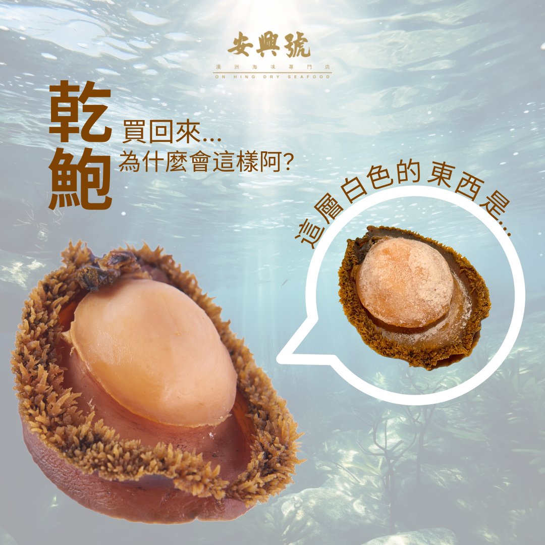 鮑魚小百科（3） - On Hing Dry Seafood