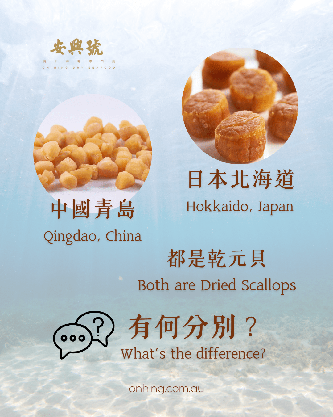 海味小教室：元貝都有好幾種？ - On Hing Dry Seafood
