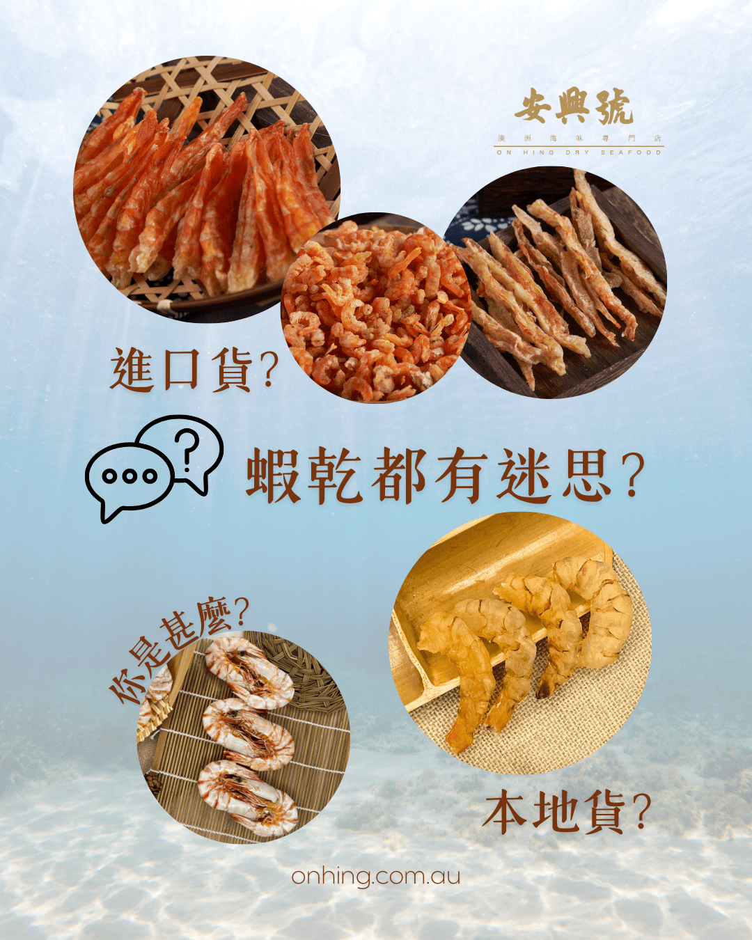蝦乾也有很多款？！ - On Hing Dry Seafood