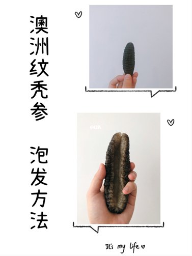 澳洲美食｜海参泡发的亿点点小技巧 - On Hing Dry Seafood