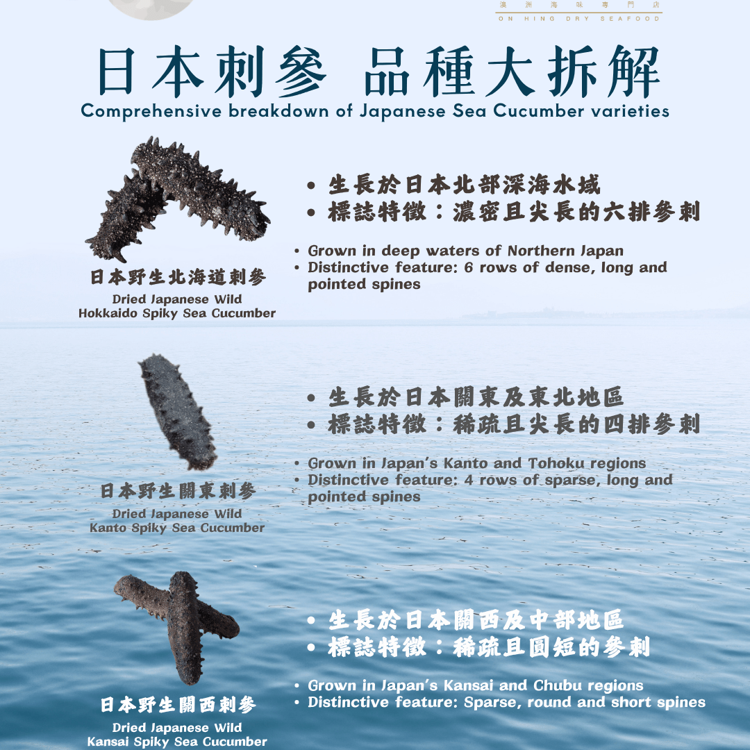 日本刺參 - 品種大拆解 - On Hing Dry Seafood