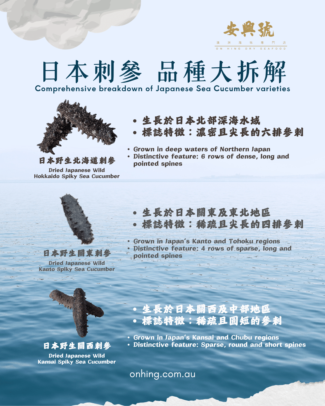 日本刺參 - 品種大拆解 - On Hing Dry Seafood