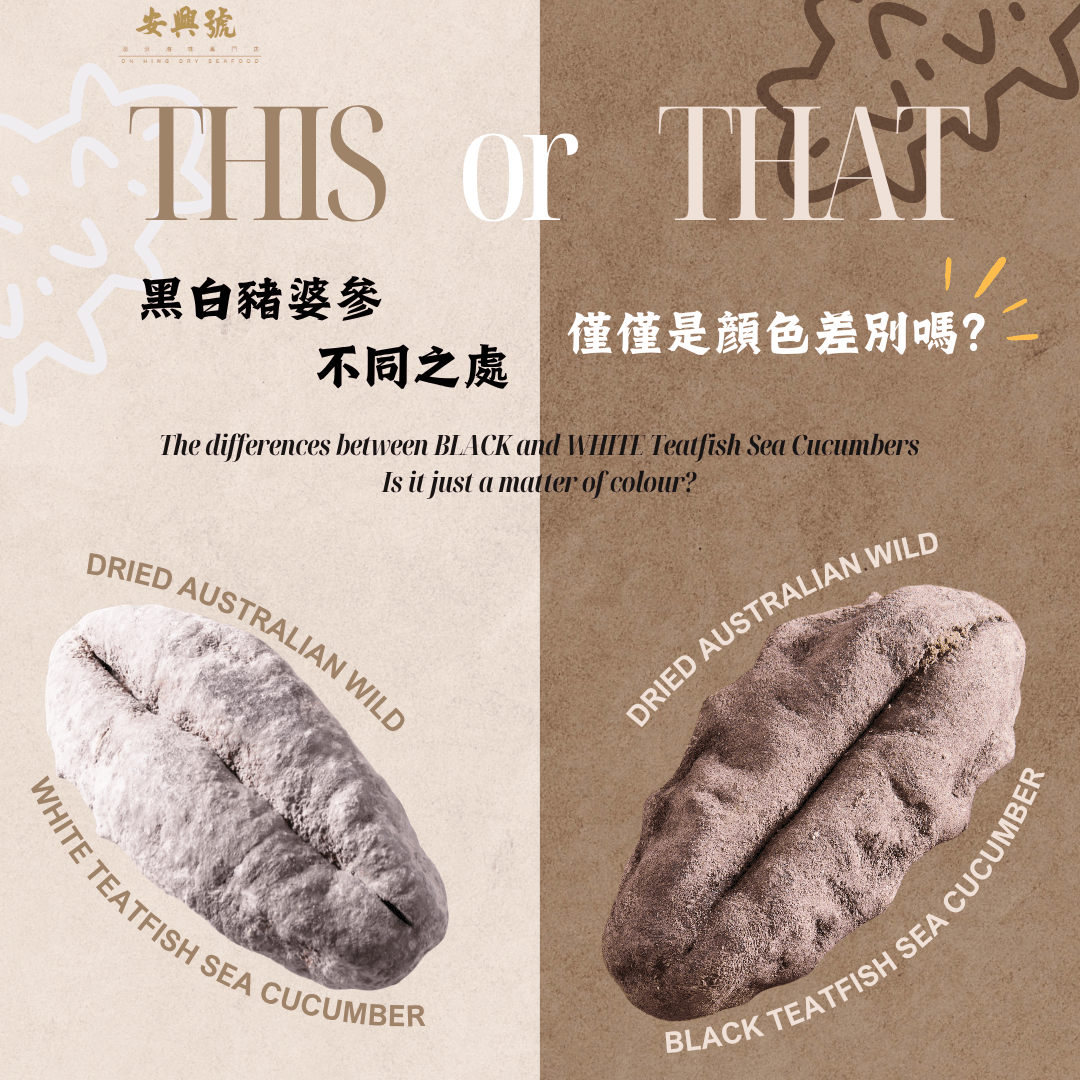 黑白豬婆參的不同之處｜僅僅就是顏色上的差別嗎？ - On Hing Dry Seafood