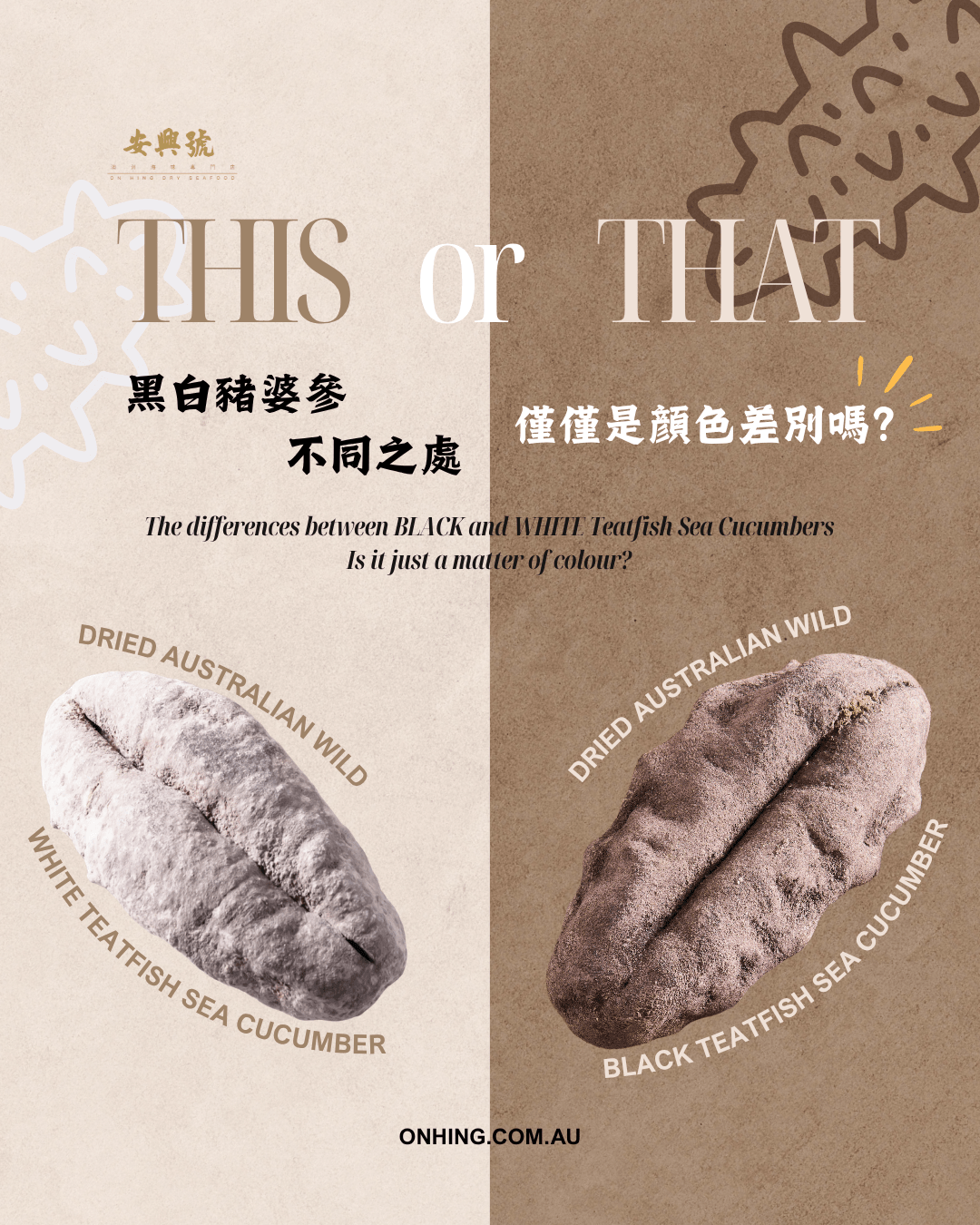 黑白豬婆參的不同之處｜僅僅就是顏色上的差別嗎？ - On Hing Dry Seafood