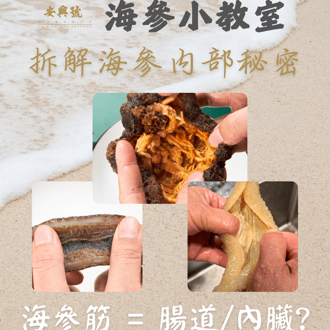 拆解海參內部秘密 - 海參筋 = 腸道/ 內臟？ - On Hing Dry Seafood