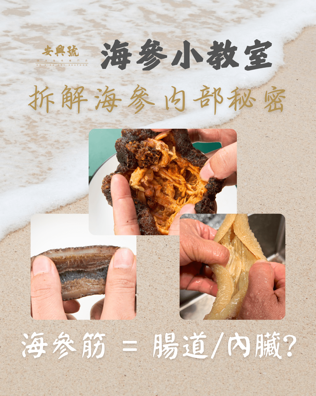 拆解海參內部秘密 - 海參筋 = 腸道/ 內臟？ - On Hing Dry Seafood