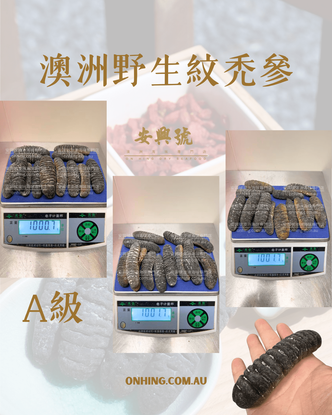 安興號 海參銷量表現出色 - On Hing Dry Seafood