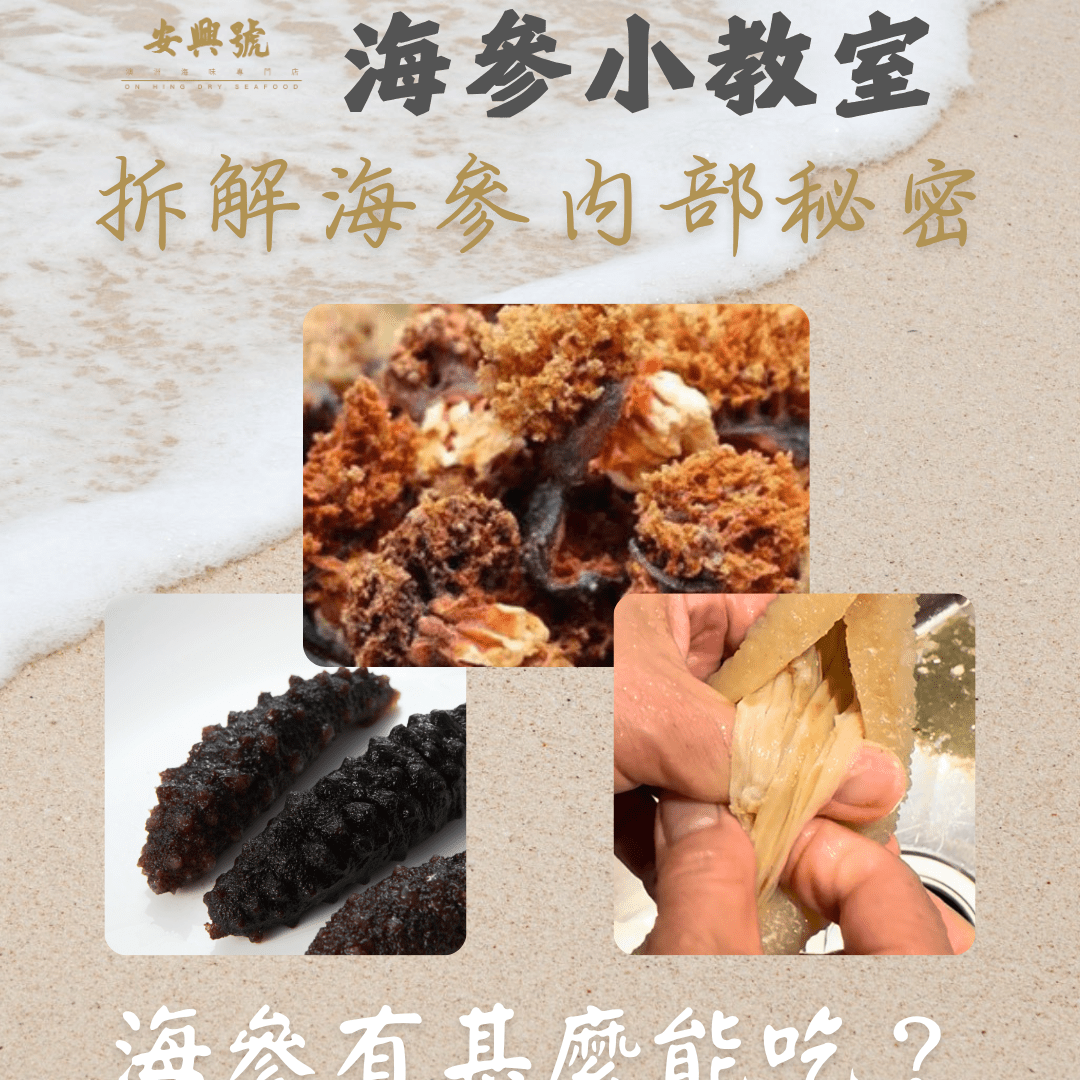 拆解海參內部秘密 - 到底海參肚子裡有甚麼能吃？甚麼不能吃呢？ - On Hing Dry Seafood