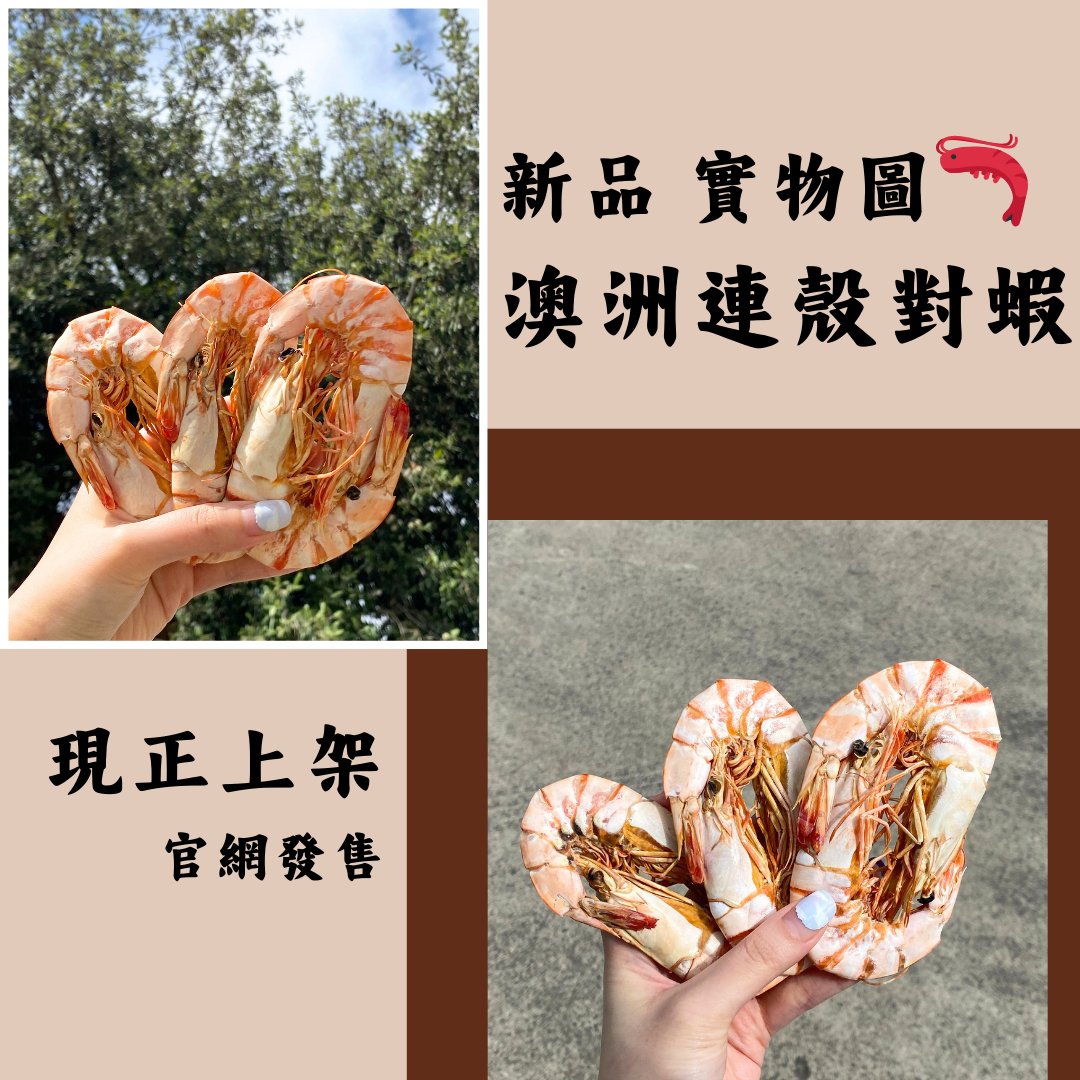 澳洲連殼對蝦 實物圖 - On Hing Dry Seafood
