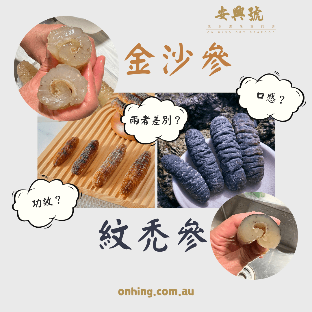 英文都是Sandfish，到底如何分辨紋禿參和金沙參？ - On Hing Dry Seafood