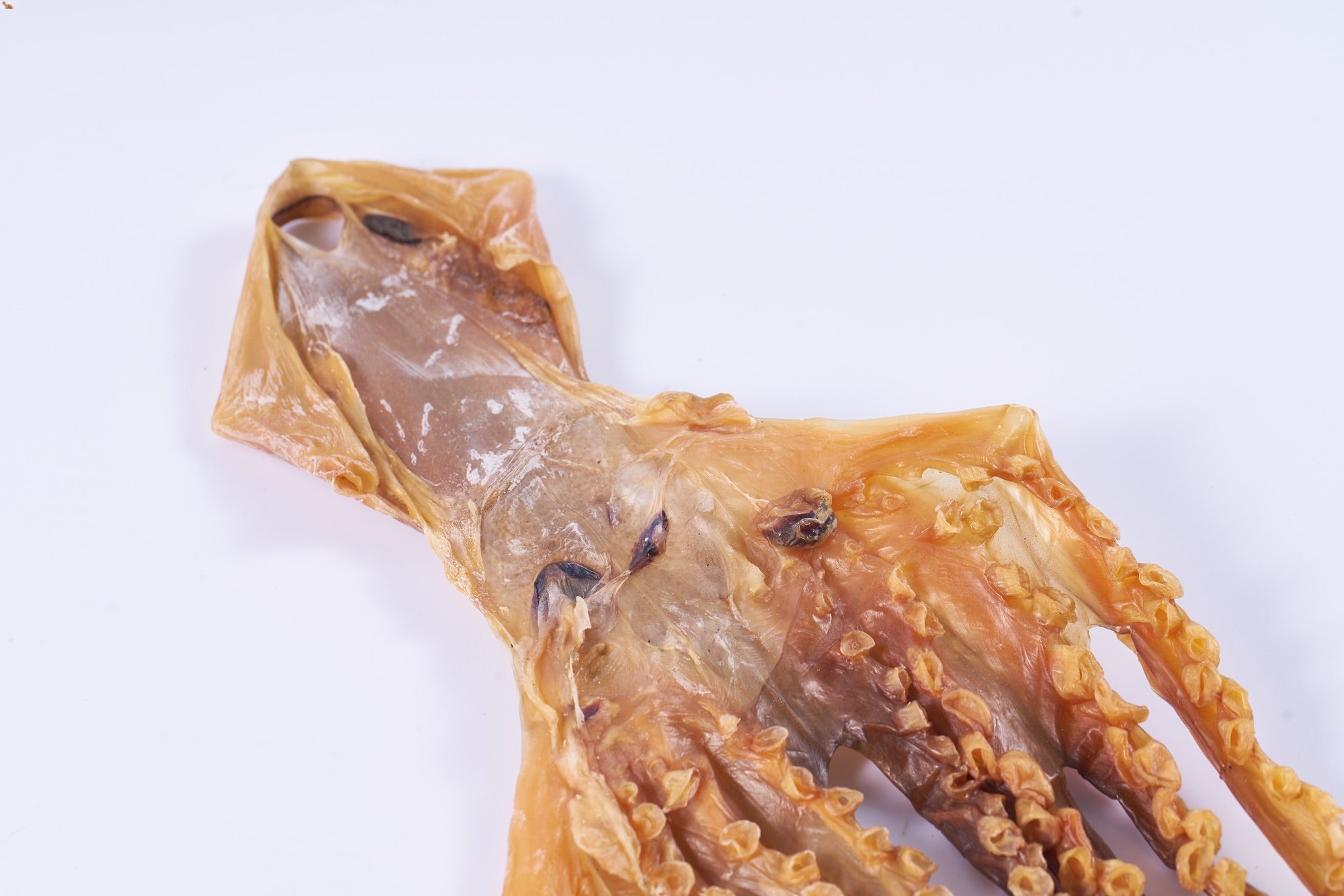 章魚 - On Hing Dry Seafood