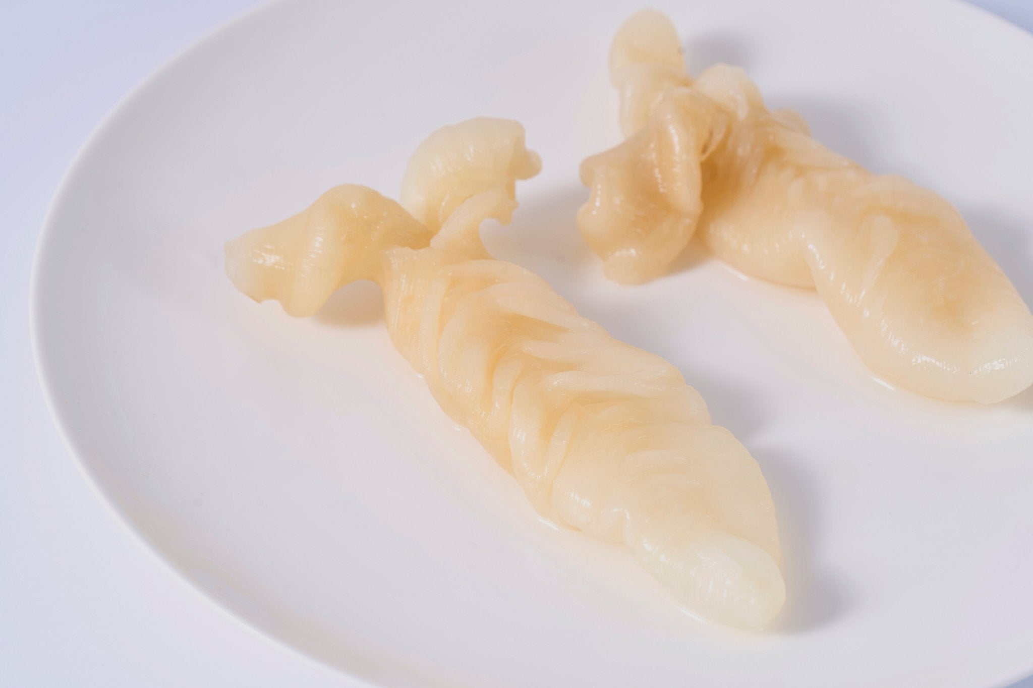 急凍筒膠皇 - On Hing Dry Seafood