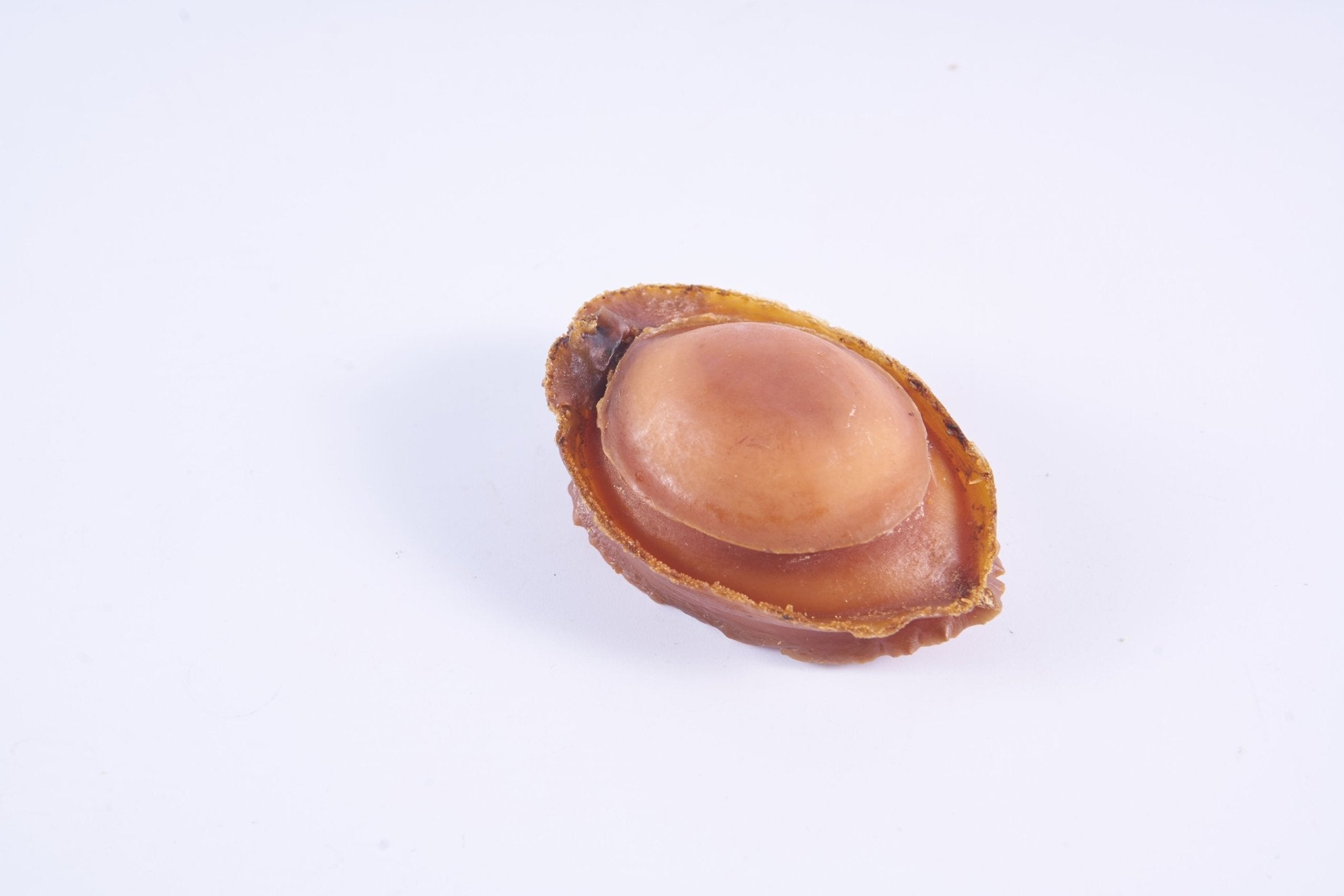 澳洲野生青邊溏心鮑魚 - On Hing Dry Seafood