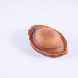 澳洲野生青邊溏心鮑魚 - On Hing Dry Seafood