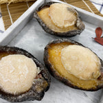 急凍黑邊鮑 - On Hing Dry Seafood