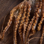 章魚 - On Hing Dry Seafood