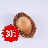 澳洲野生棕邊溏心鮑魚 - On Hing Dry Seafood