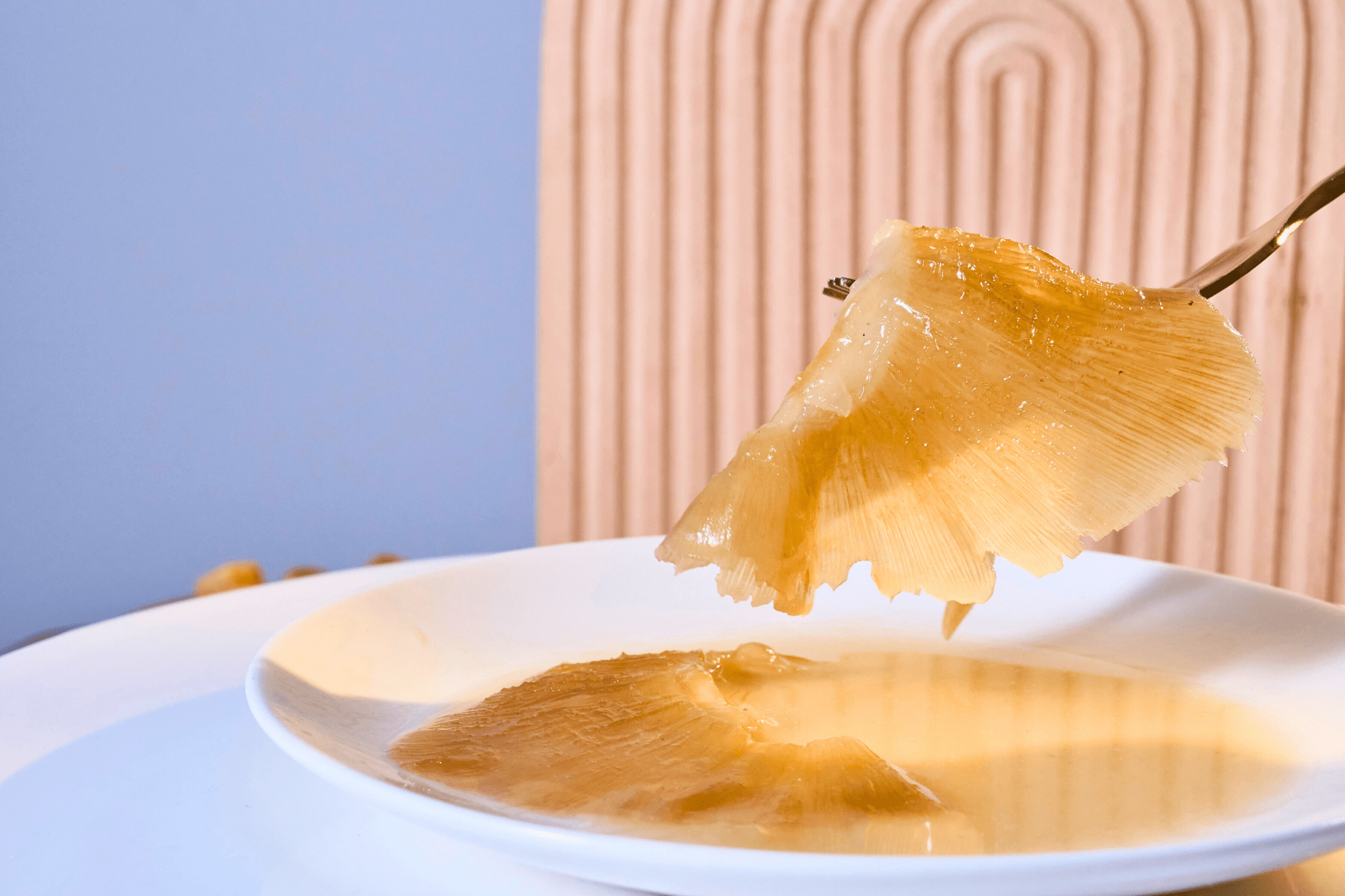 紅燒鮑汁金勾翅 - On Hing Dry Seafood